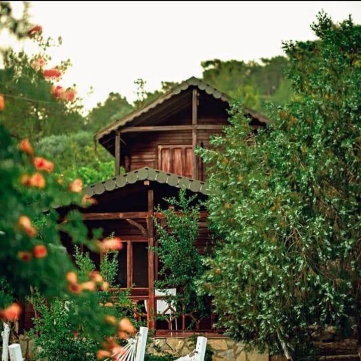 Olympos Talara By Arzum Hotel Kumluca Exterior photo